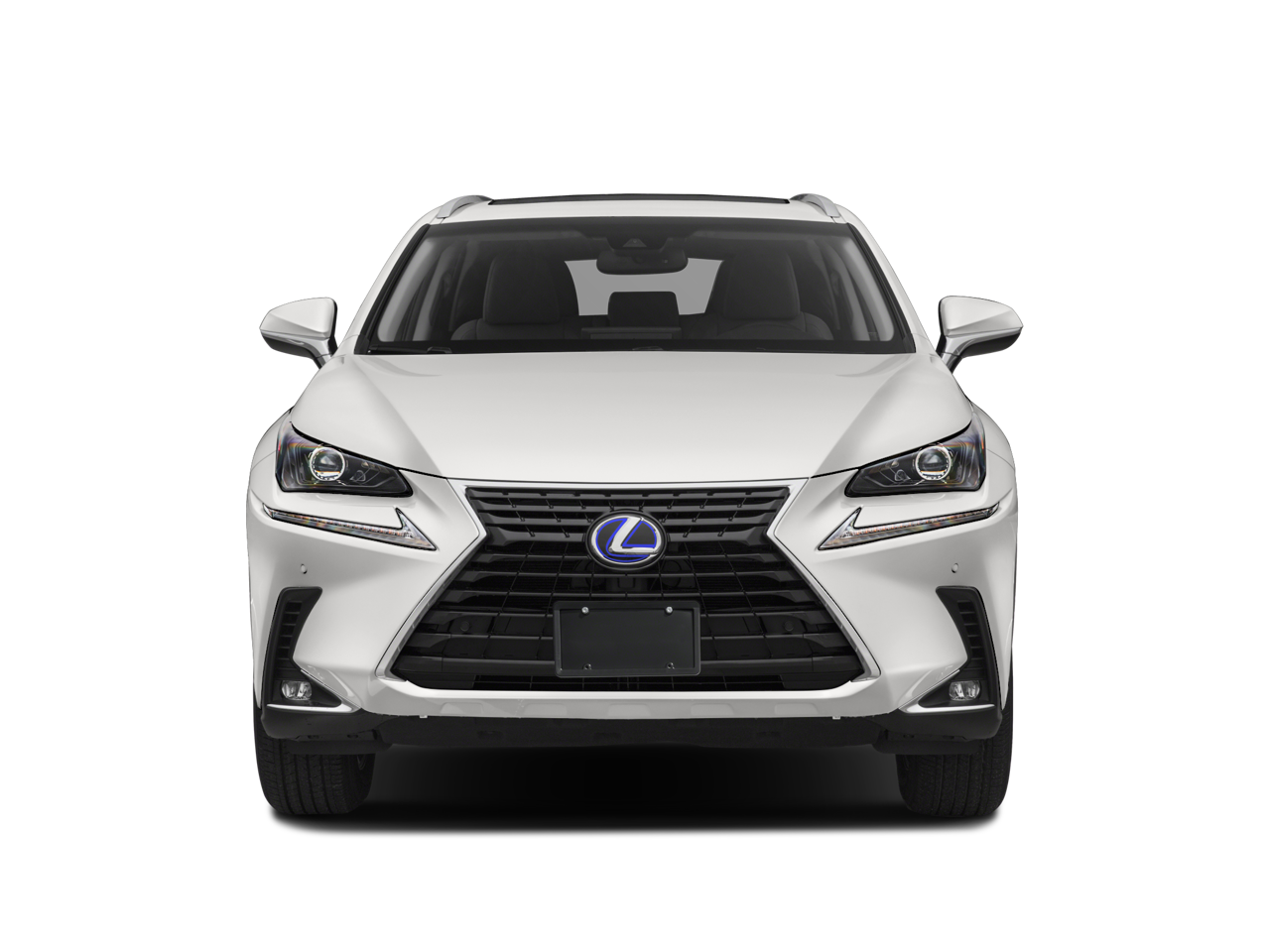 2020 Lexus NX 300h AWD
