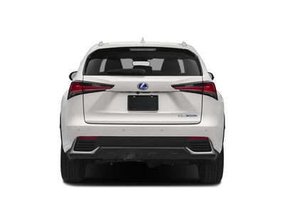 2020 Lexus NX 300h AWD
