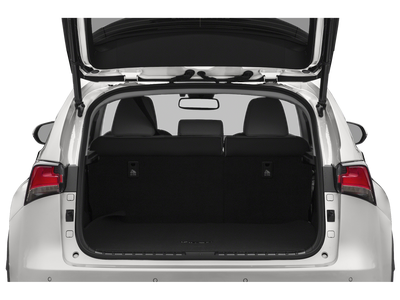 2020 Lexus NX 300h AWD