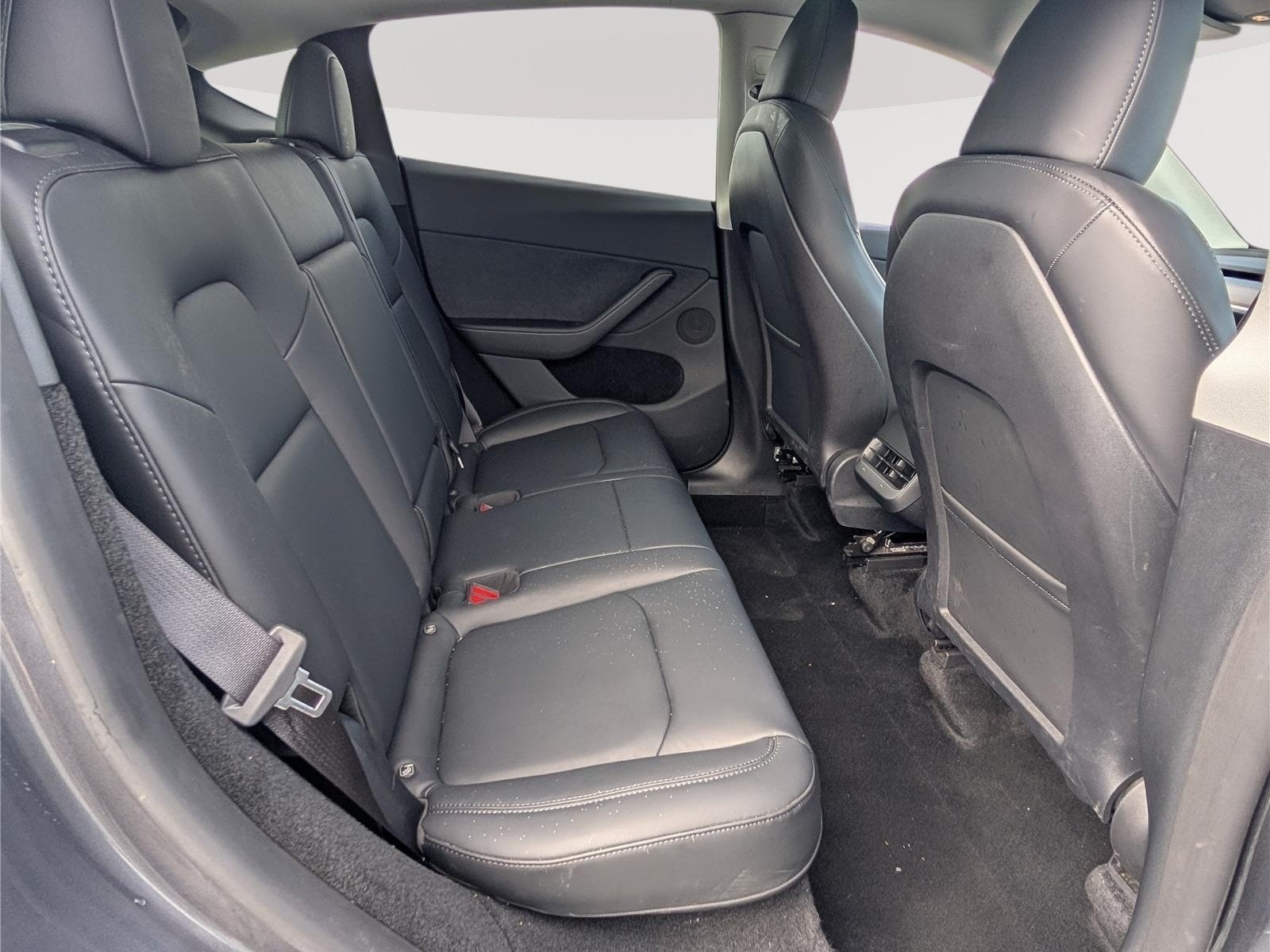 2023 Tesla Model Y Base