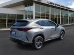 2023 Lexus NX 350 Premium AWD