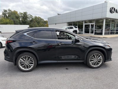 2024 Lexus NX 350 Luxury AWD