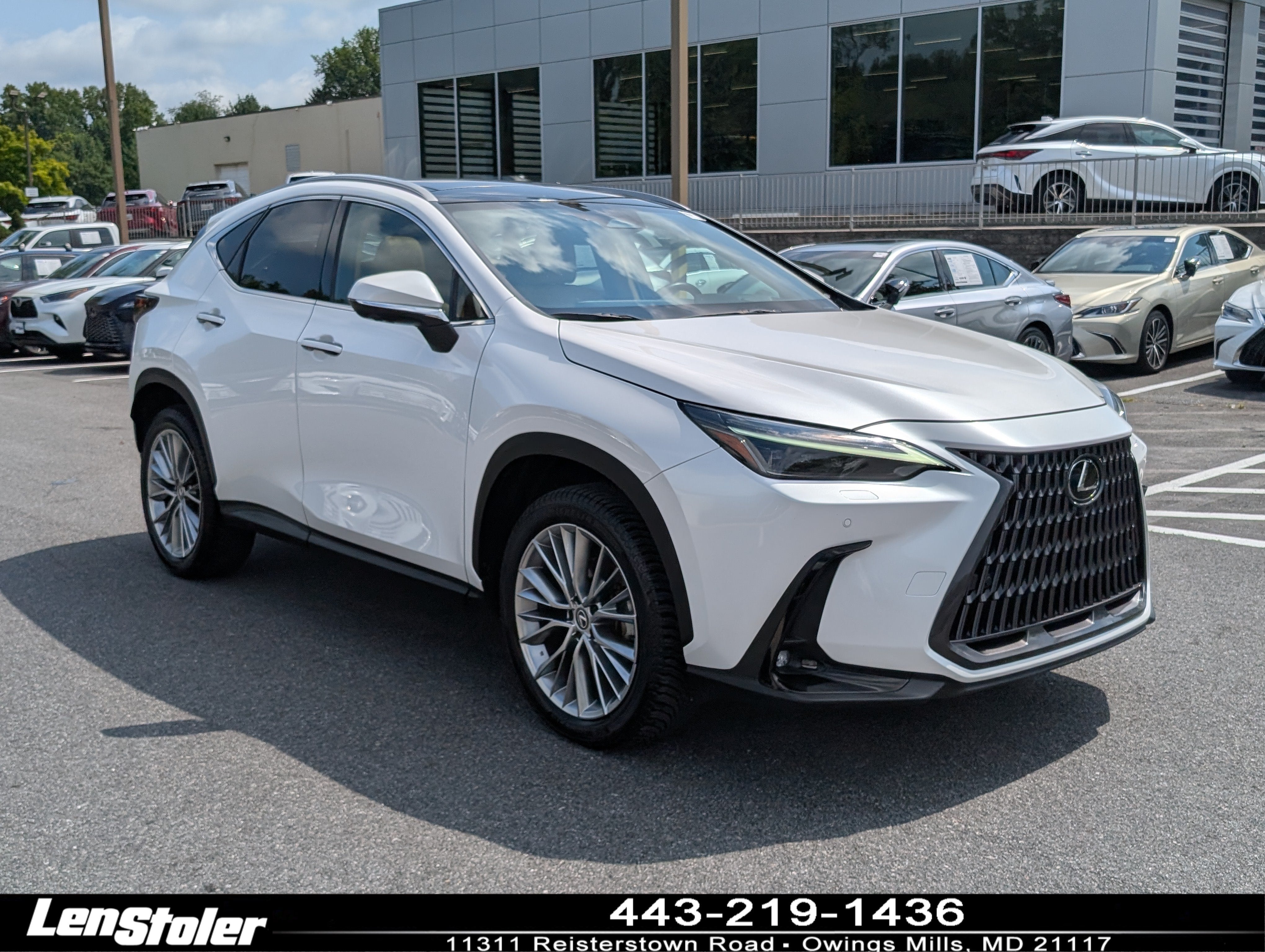 2024 Lexus NX 350 Luxury AWD