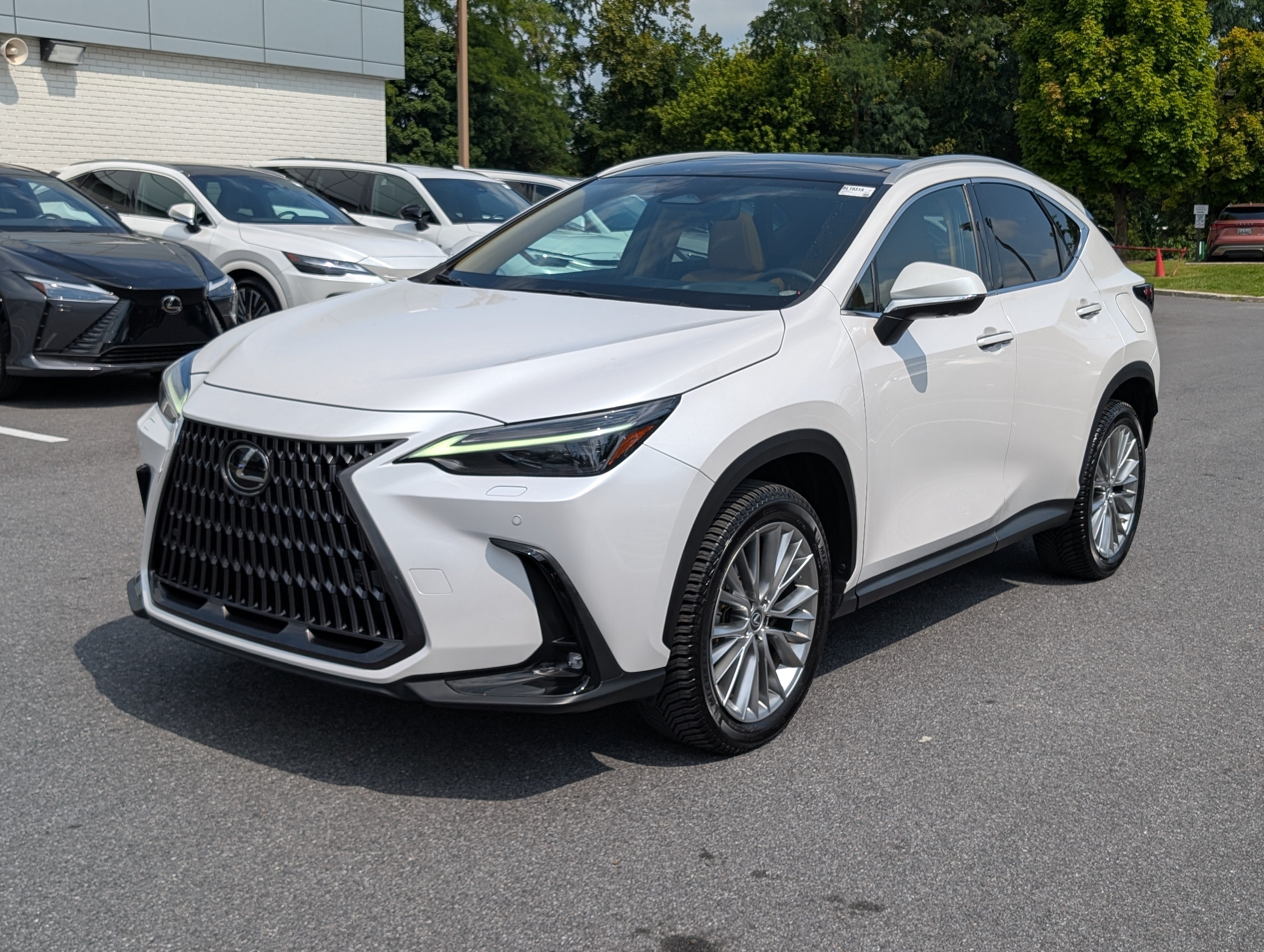 2024 Lexus NX 350 Luxury AWD