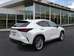 2025 Lexus NX NX 350h Luxury