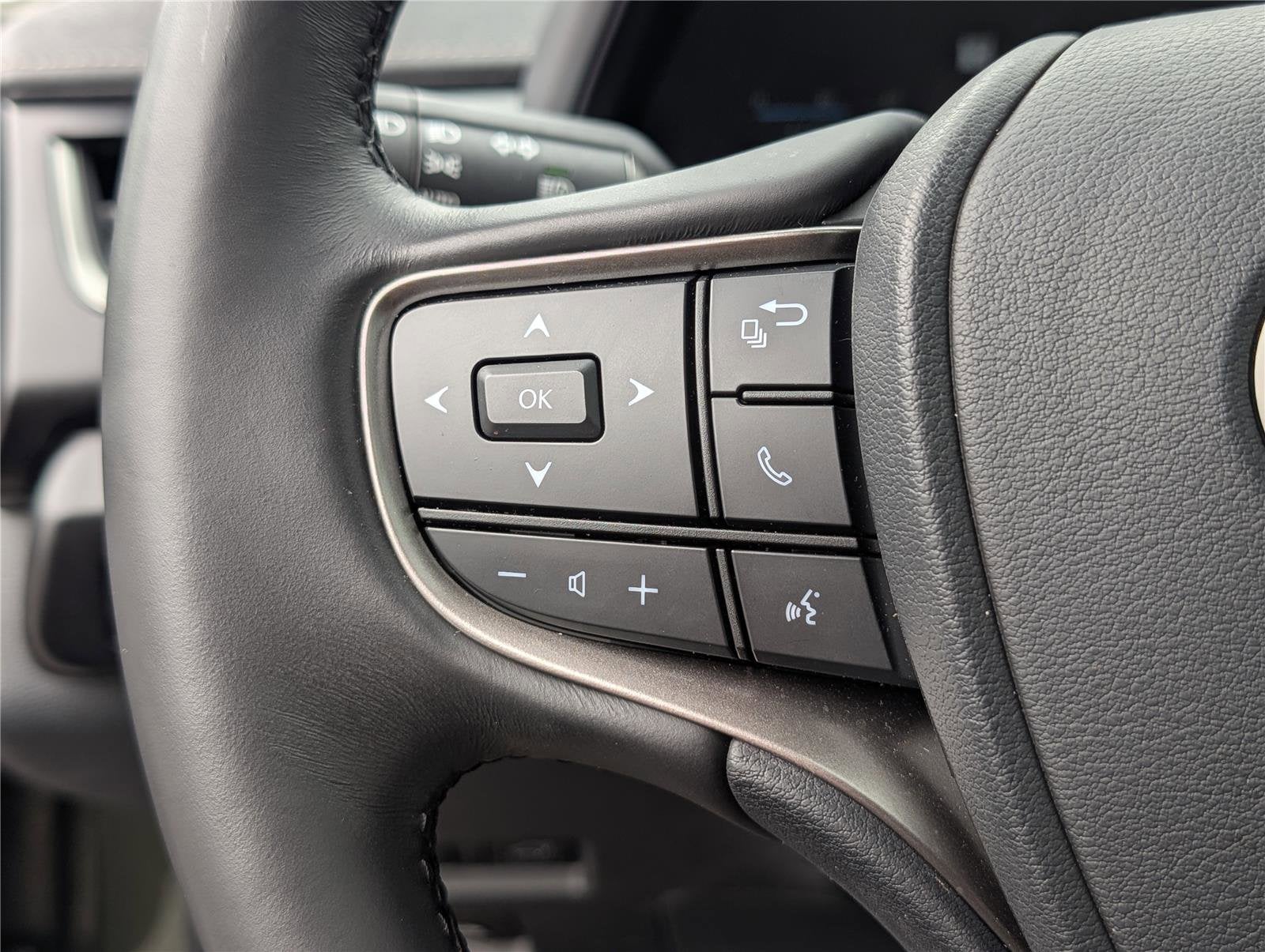 2025 Lexus UX UX 300h Premium