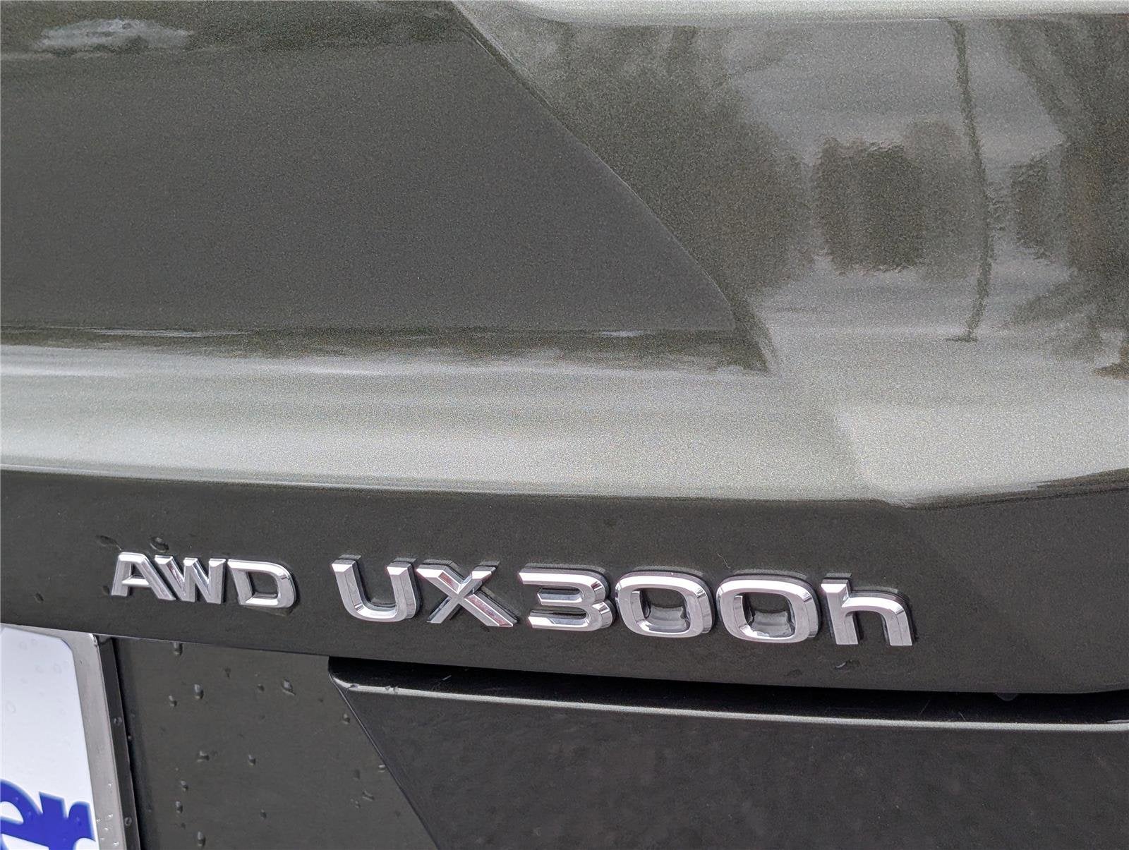 2025 Lexus UX UX 300h Premium